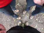 FZ020807 Machteld, Hans and Marijn's feet.jpg